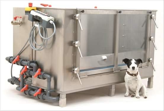 Underwater treadmill best sale for dogs cost